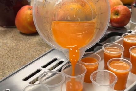 Zielony Dworek Tąpkowice