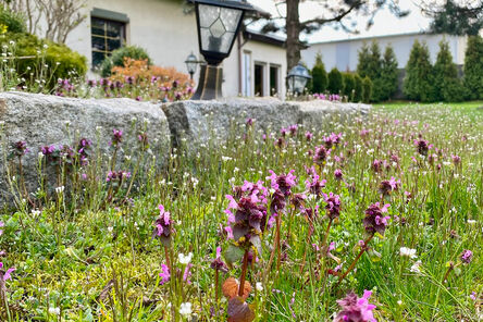 Zielony Dworek Tąpkowice