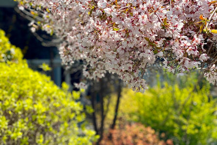 Zielony Dworek Tąpkowice
