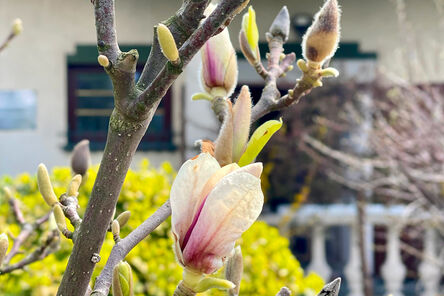 Zielony Dworek Tąpkowice